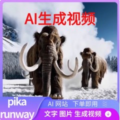 ai视频制作软件文字图片自动生成视频pikaSO索若runwayAI视频工具